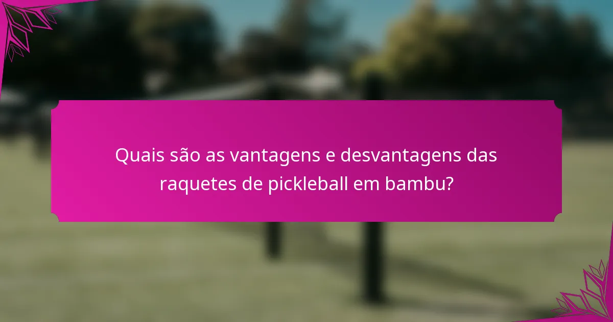 Quais são as vantagens e desvantagens das raquetes de pickleball em bambu?